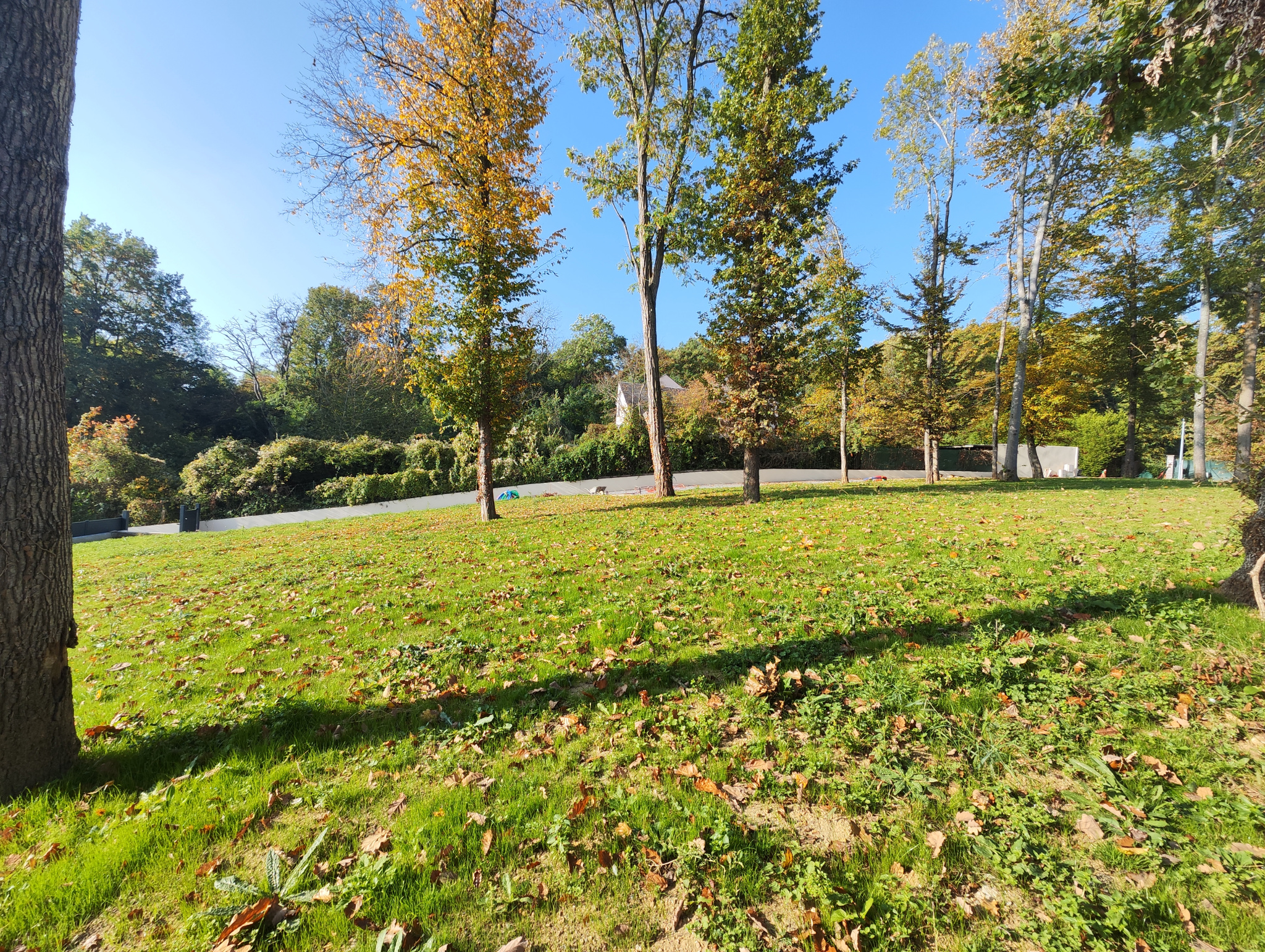 Agence immobilière de Actif  Le Mée-sur-seine